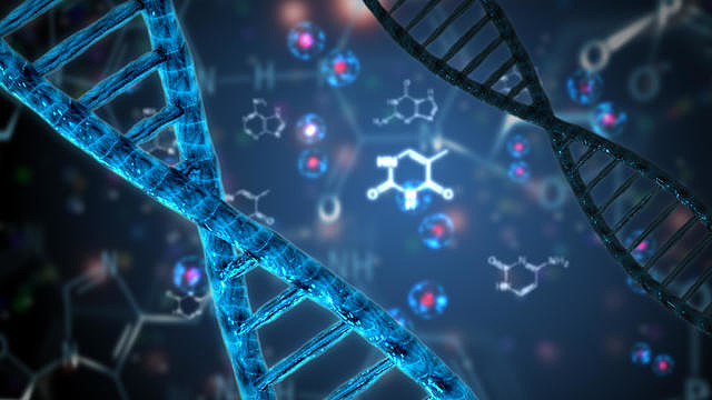 加拿大Biological（生物學(xué)專(zhuān)業(yè)）前景怎么樣？