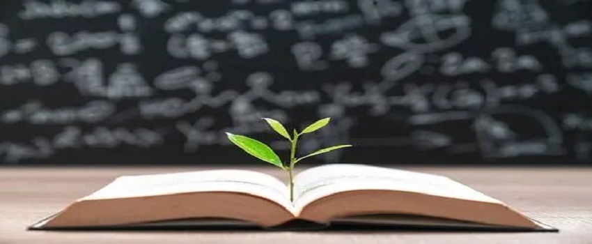 英文論文寫作如何準(zhǔn)確表達(dá)自己的中心思想？