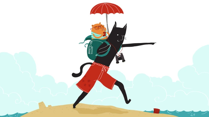 如何控制Essay的篇幅？