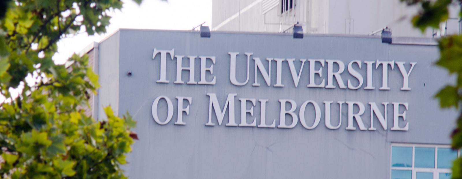 留學(xué)課程輔導(dǎo)