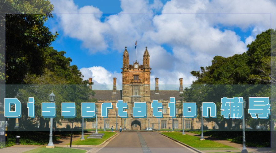 Dissertation輔導(dǎo)