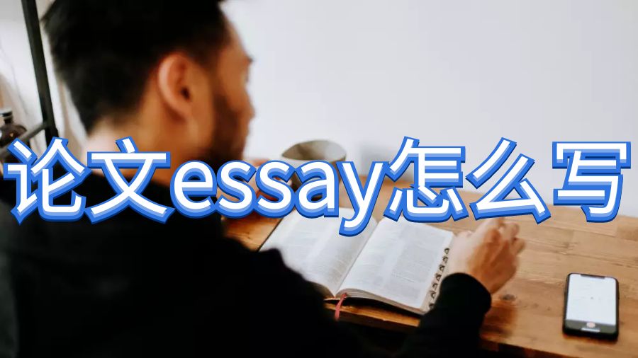 論文essay寫(xiě)作