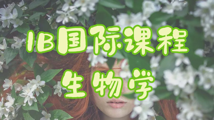 IB國際課程