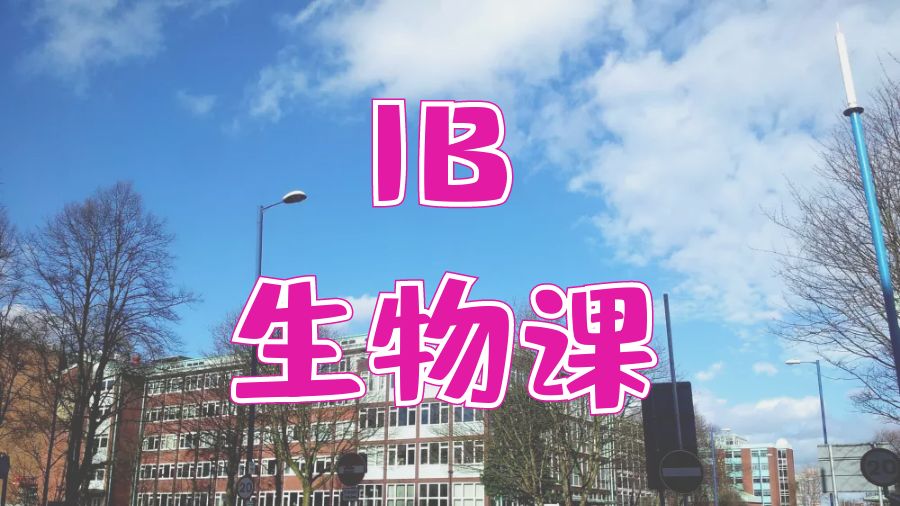 IB課程
