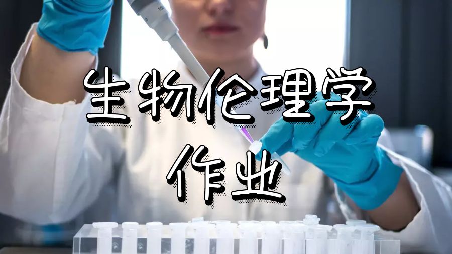 留學生作業(yè)輔導