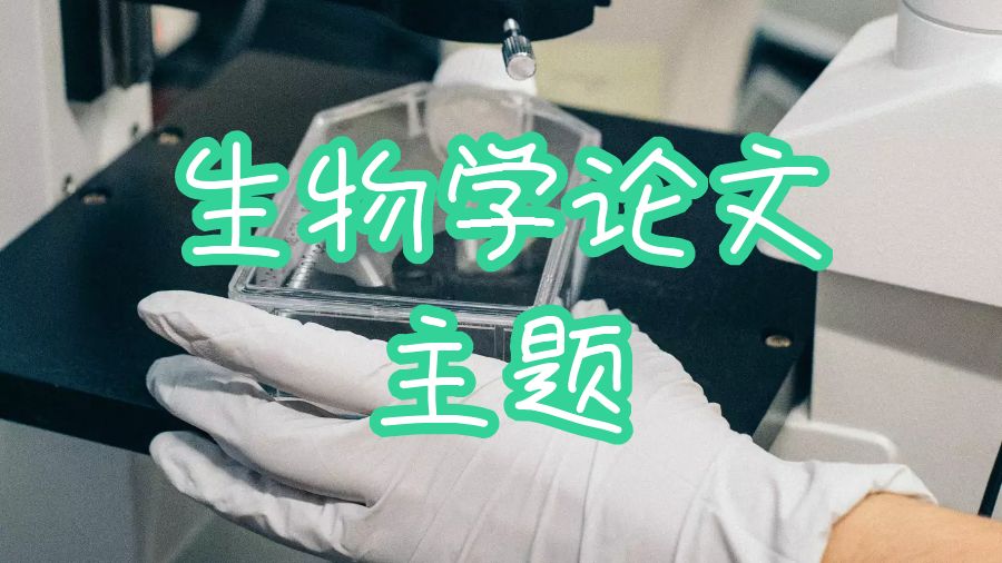 留學(xué)生課程論文輔導(dǎo)