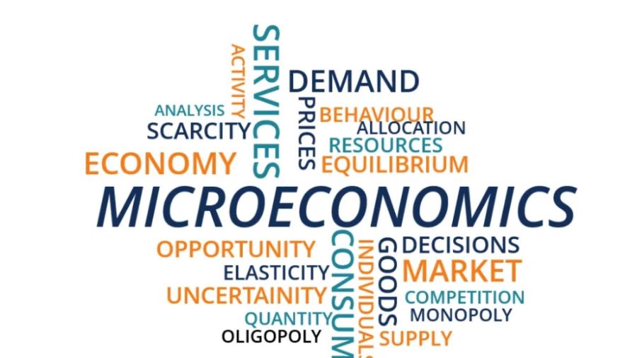 留學(xué)生微觀經(jīng)濟(jì)課程輔導(dǎo)