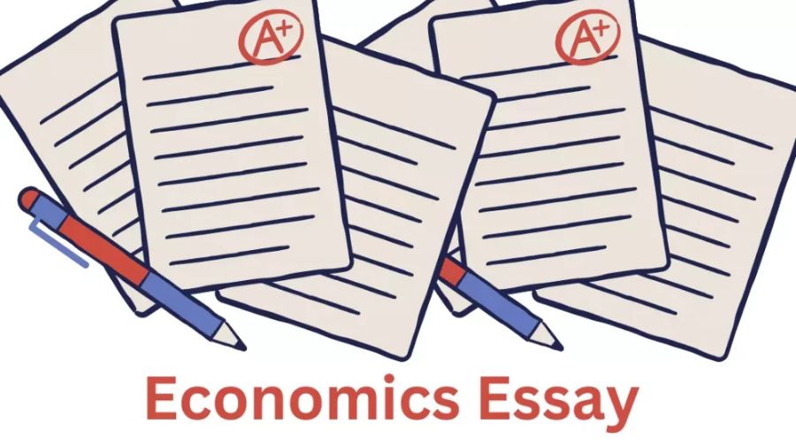 微觀經(jīng)濟學(xué)論文寫作