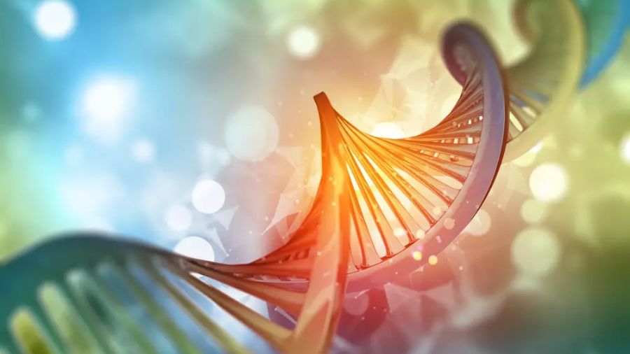 昆士蘭大學(xué)BIOL1020課程怎么學(xué)習(xí)