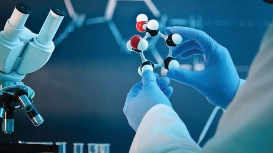 本科作業(yè)輔導