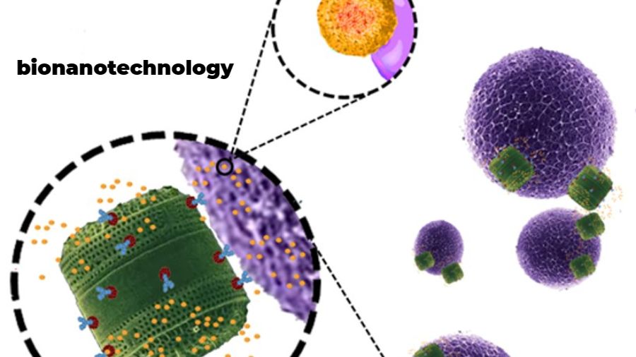 碩士課程輔導(dǎo)