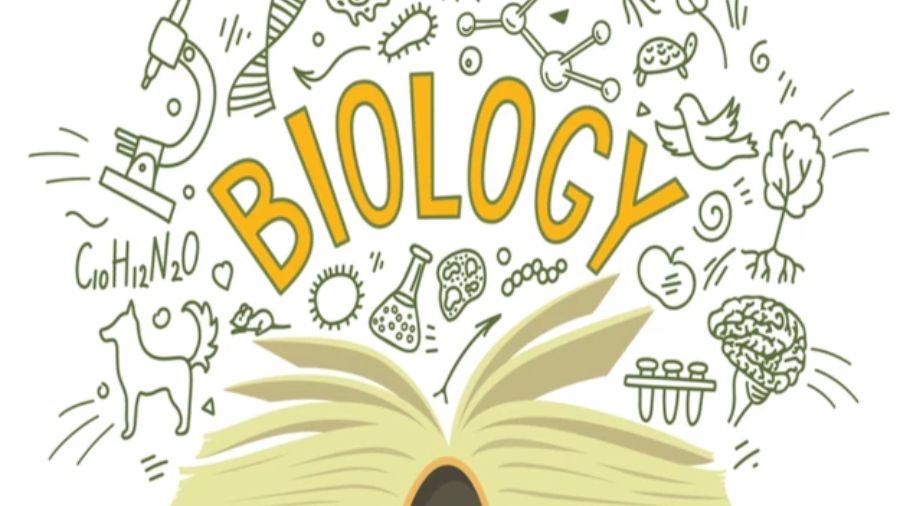 美國課程輔導(dǎo)