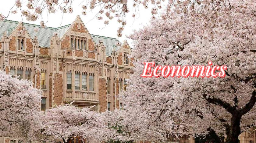 Economics 課程輔導(dǎo)