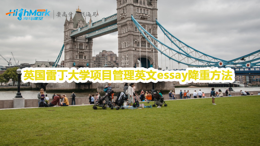 英國(guó)雷丁大學(xué)項(xiàng)目管理英文essay降重方法
