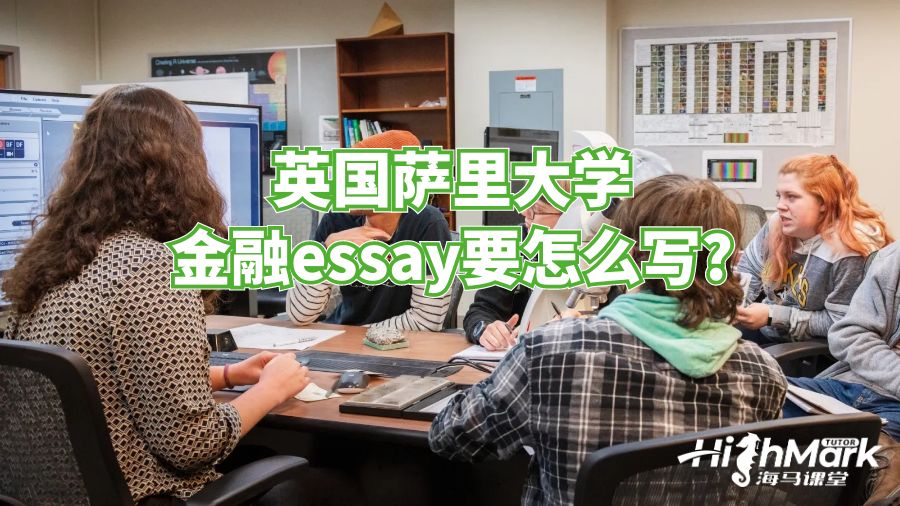 英國薩里大學(xué)金融essay要怎么寫?