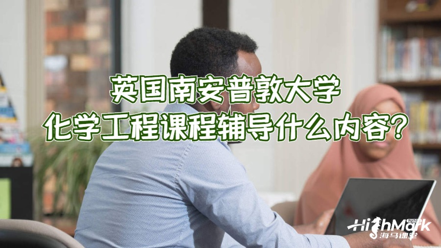 英國南安普敦大學化學工程課程輔導什么內容?