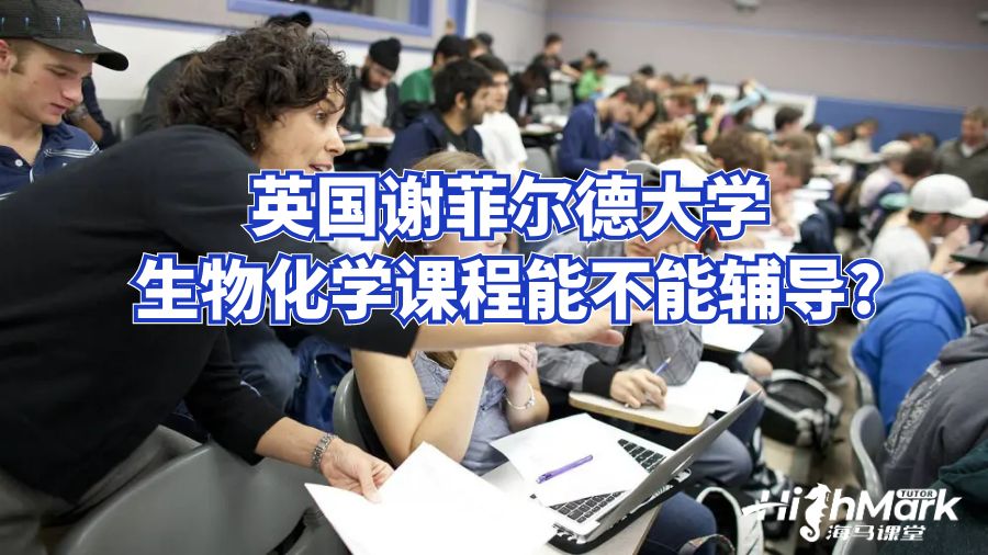 英國(guó)謝菲爾德大學(xué)生物化學(xué)課程能不能輔導(dǎo)?