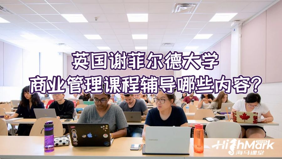 英國(guó)謝菲爾德大學(xué)商業(yè)管理課程輔導(dǎo)哪些內(nèi)容?