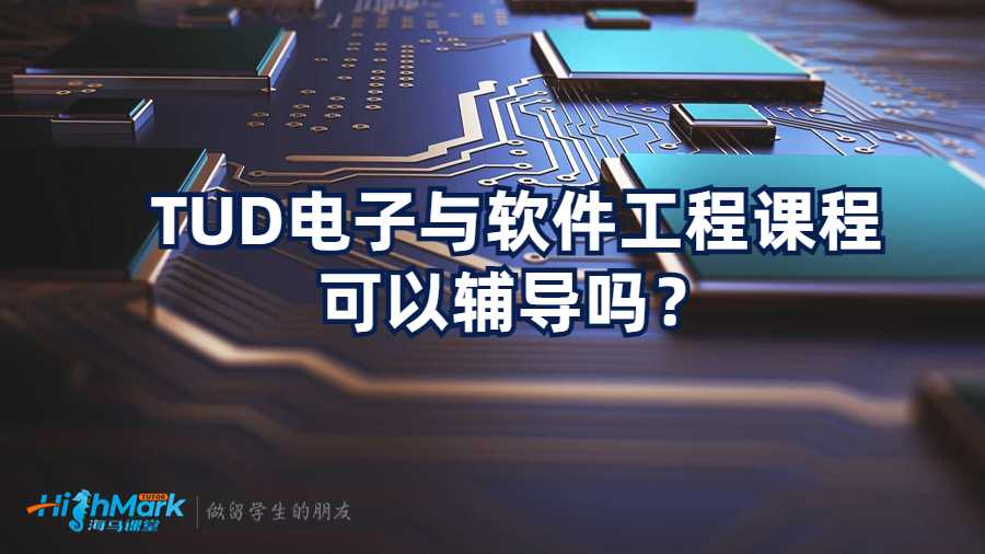 TUD電子與軟件工程課程可以輔導(dǎo)嗎？