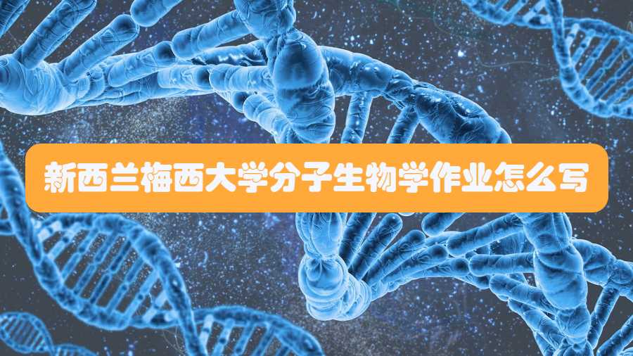新西蘭梅西大學(xué)分子生物學(xué)作業(yè)怎么寫