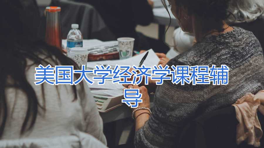 美國大學經(jīng)濟學課程輔導