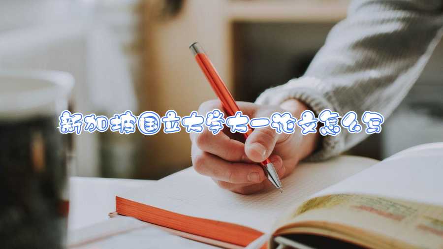 新加坡國立大學(xué)大一論文怎么寫