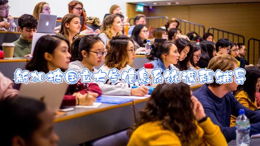 新加坡國立大學信息系統(tǒng)課程輔導