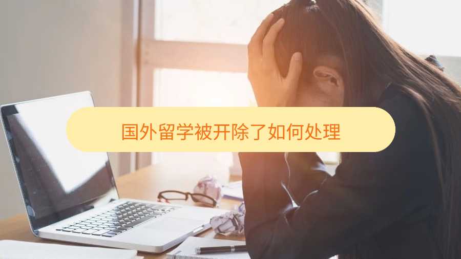 國外留學(xué)被開除了如何處理