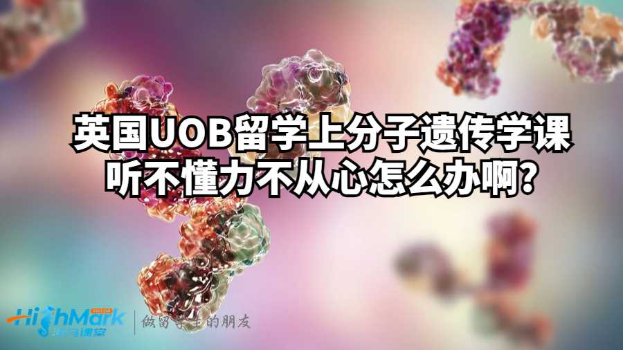 分子遺傳