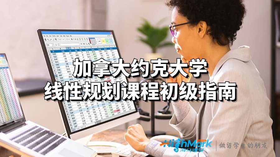加拿大約克大學(xué)線性規(guī)劃課程初級指南