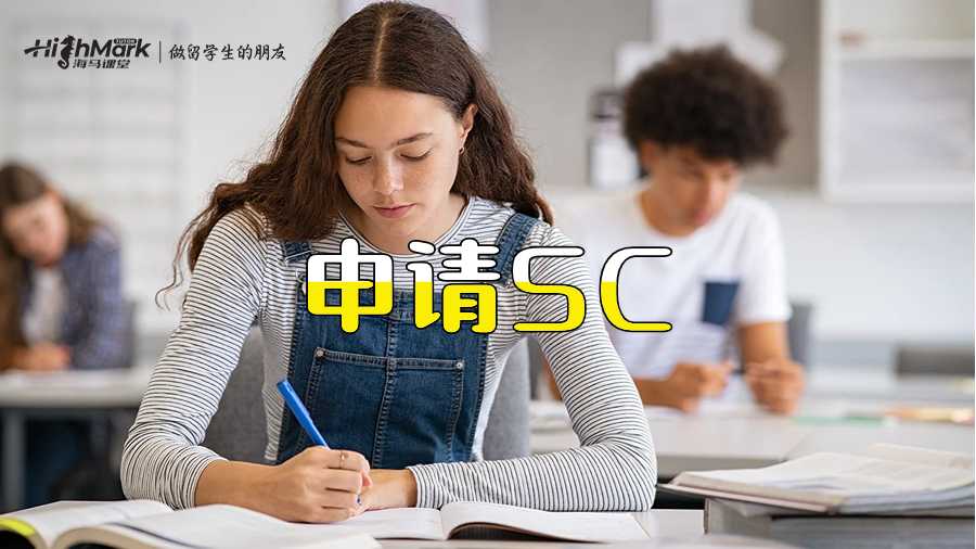 申請?zhí)厥馇闆r
