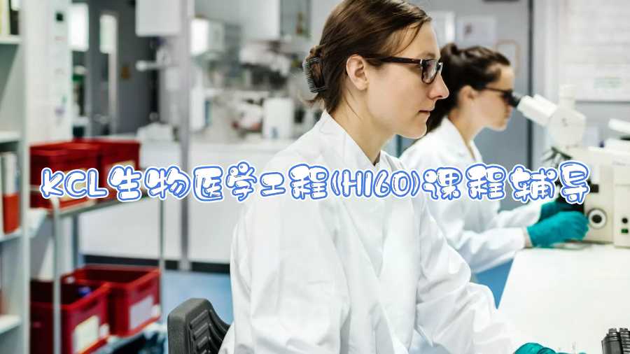KCL生物醫(yī)學(xué)工程(H160)課程輔導(dǎo)什么