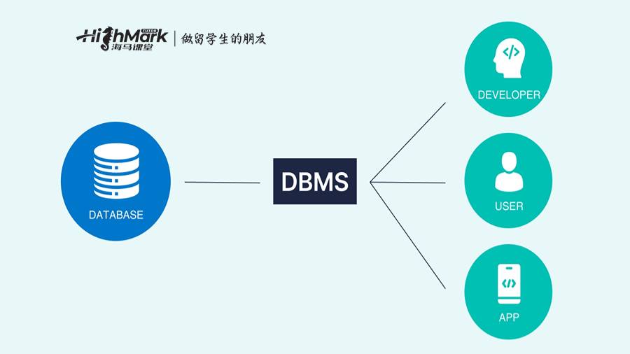 數(shù)據(jù)庫管理系統(tǒng)(DBMS)