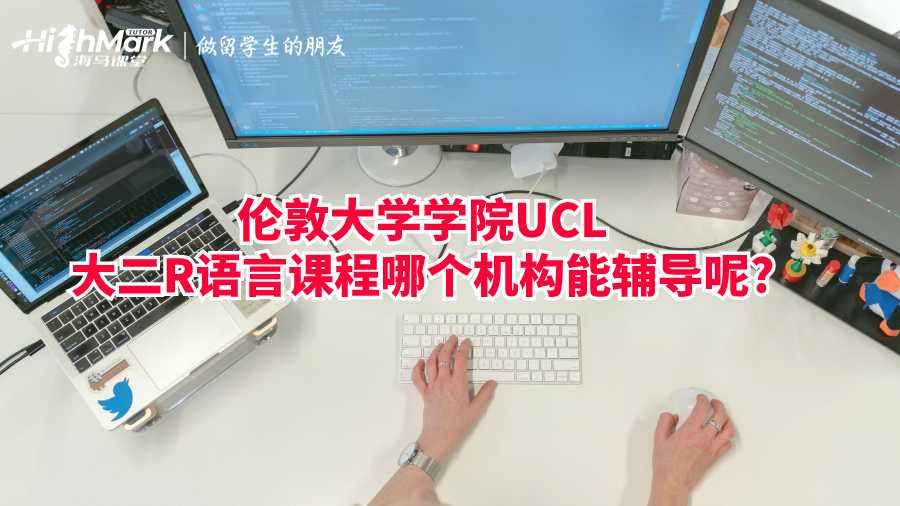 倫敦大學(xué)學(xué)院UCL大二R語言課程哪個機(jī)構(gòu)能輔導(dǎo)呢?