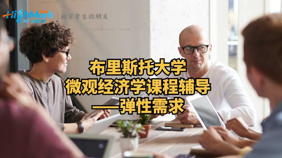 布里斯托大學(xué)微觀經(jīng)濟學(xué)課程輔導(dǎo)——彈性需求