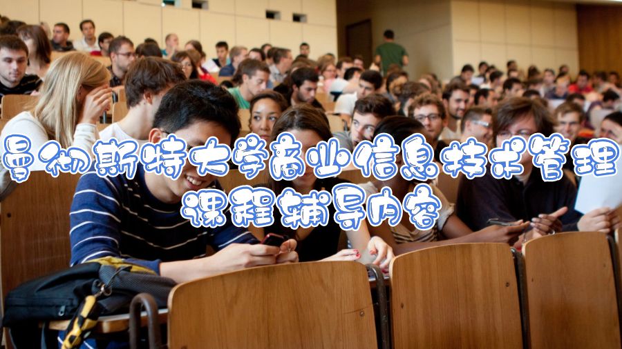 曼徹斯特大學商業(yè)信息技術管理課程輔導內(nèi)容