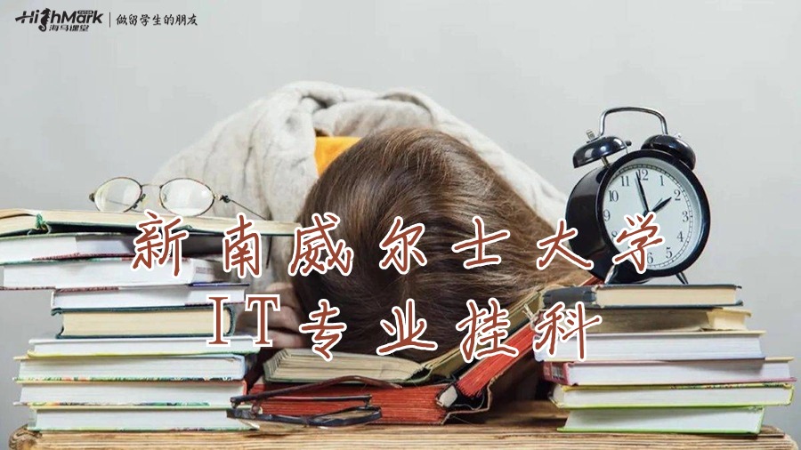 新南威爾士大學IT專業(yè)掛科