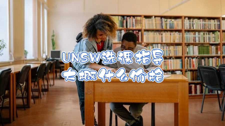 UNSW選課指導(dǎo)大概什么價格