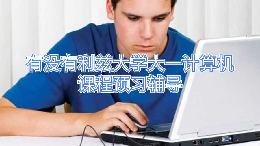 有沒有利茲大學(xué)大一計(jì)算機(jī)課程預(yù)習(xí)輔導(dǎo)