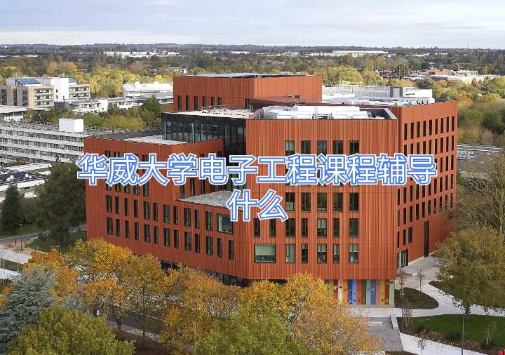 華威大學電子工程課程輔導什么