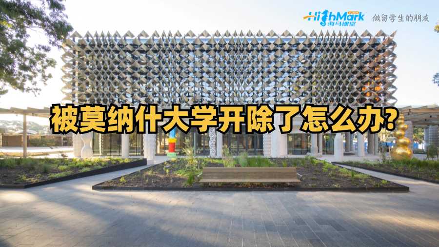 被莫納什大學(xué)開(kāi)除了怎么辦?