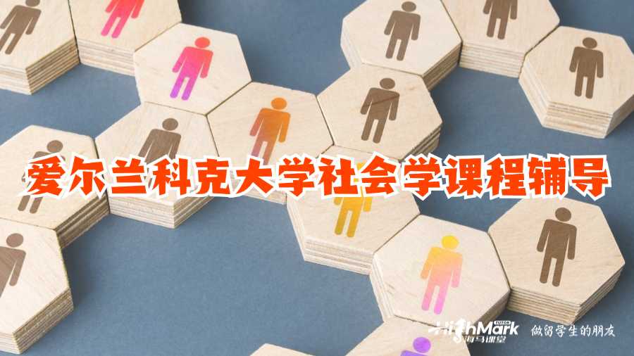 愛爾蘭科克大學社會學課程輔導