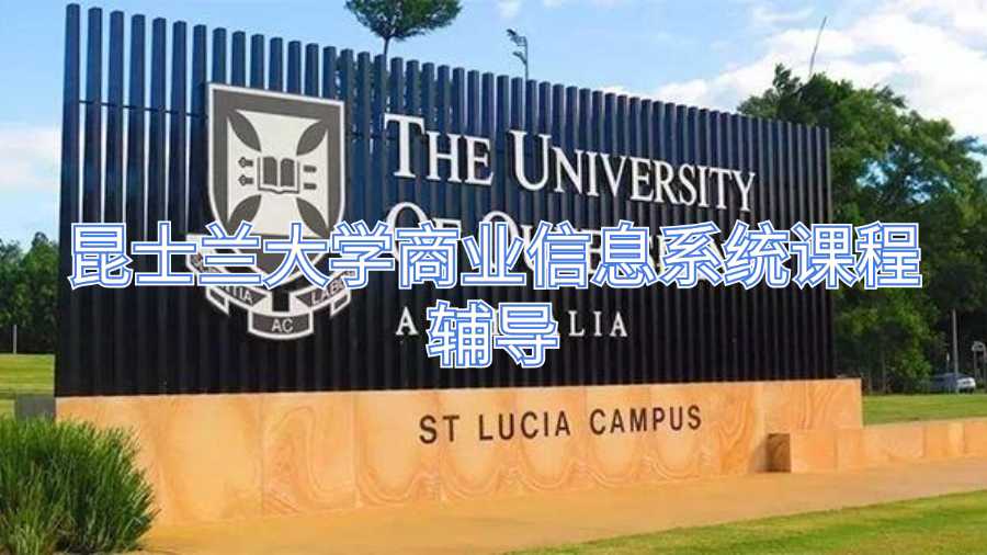 昆士蘭大學(xué)商業(yè)信息系統(tǒng)課程輔導(dǎo)