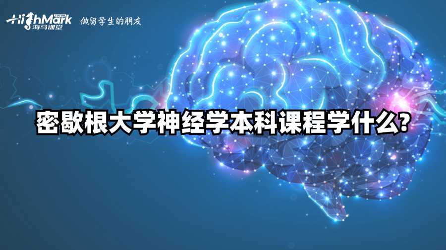 密歇根大學神經(jīng)學本科課程學什么?