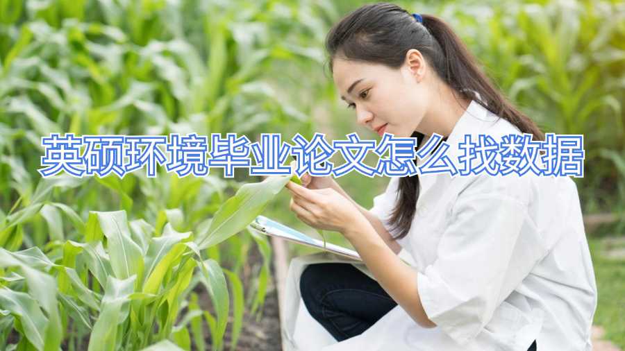 英碩環(huán)境畢業(yè)論文怎么找數據