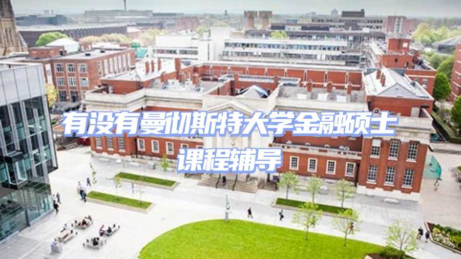 曼徹斯特大學(xué)金融碩士課程輔導(dǎo)