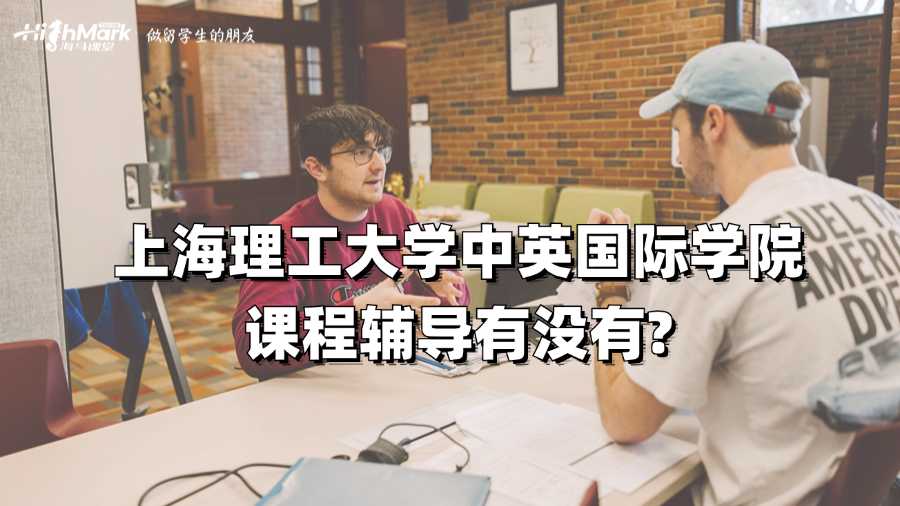 上海理工大學(xué)中英國(guó)際學(xué)院課程輔導(dǎo)有沒有?