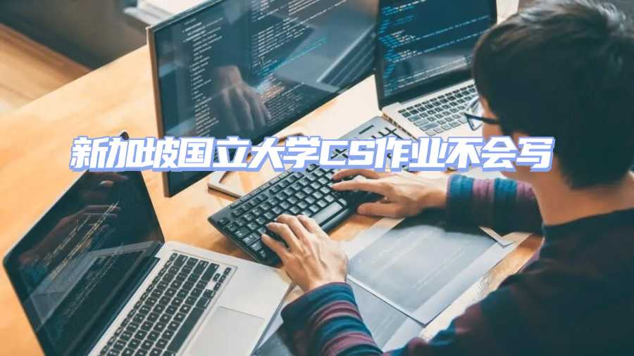 新加坡國立大學(xué)CS作業(yè)輔導(dǎo)