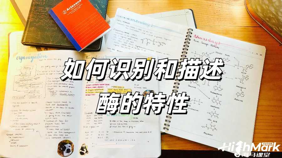 英國留學生畢業(yè)論文學術不端
