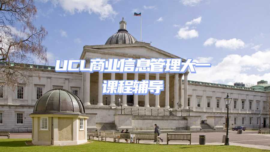 UCL商業(yè)信息管理大一課程輔導